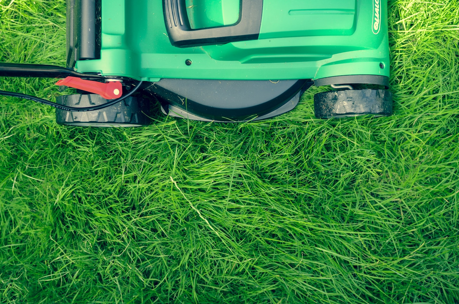 Choosing the Right Grounds-Care Services for Your Needs
