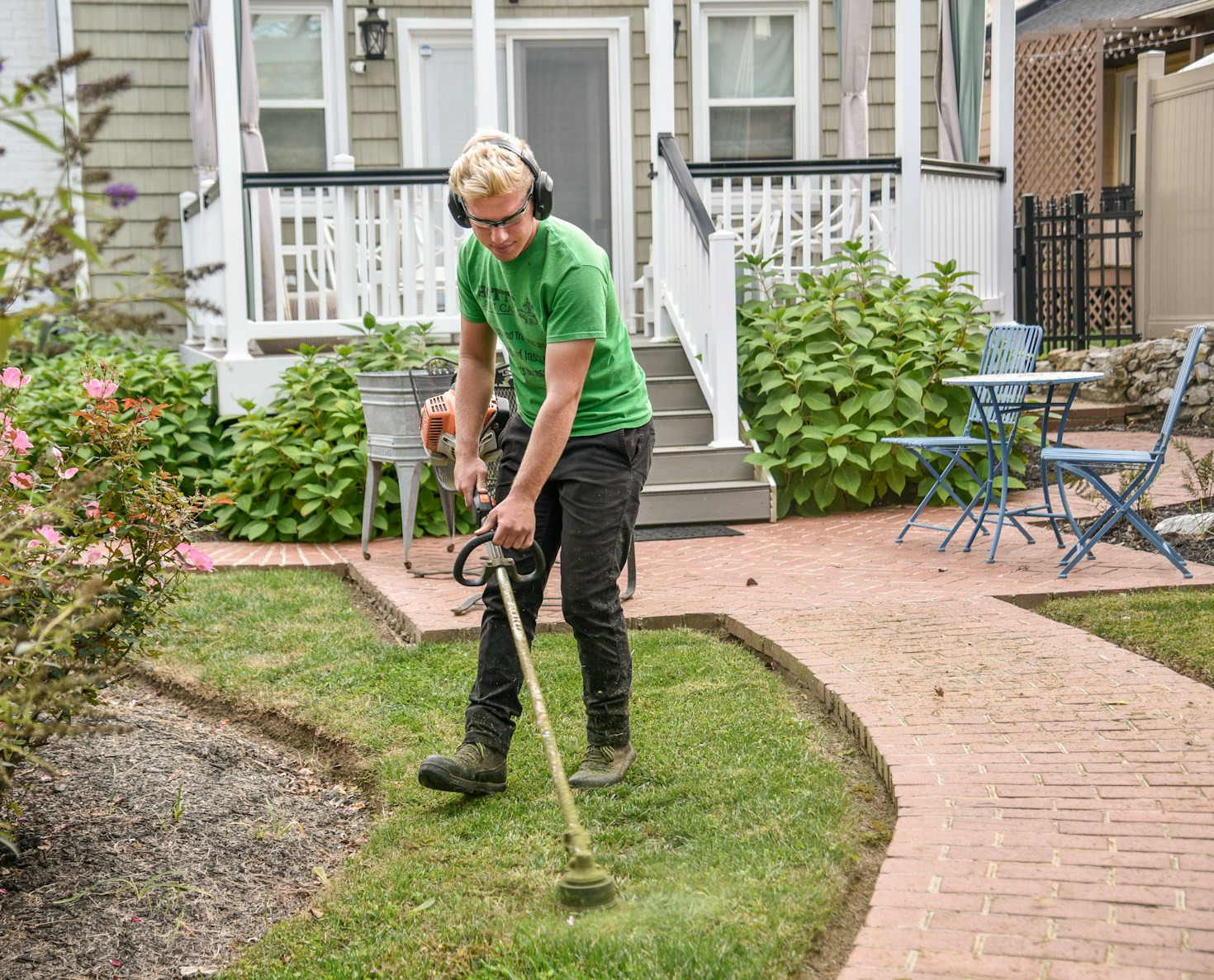 A Guide to Seasonal Lawn and Hedge Care